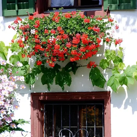 Apartment Haus Salzgeber-mugg *