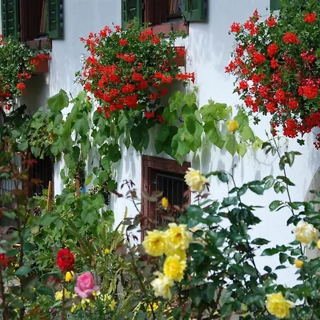 Haus Salzgeber-mugg Apartment Schruns